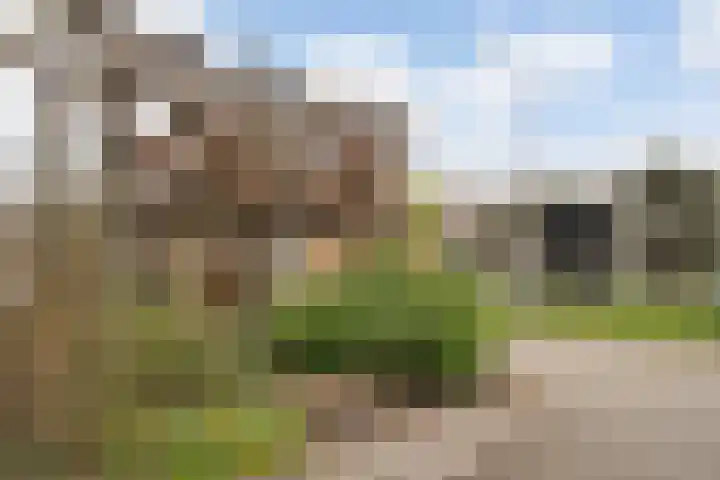 Dommeringdreef 225 Utrecht thumbnail 24