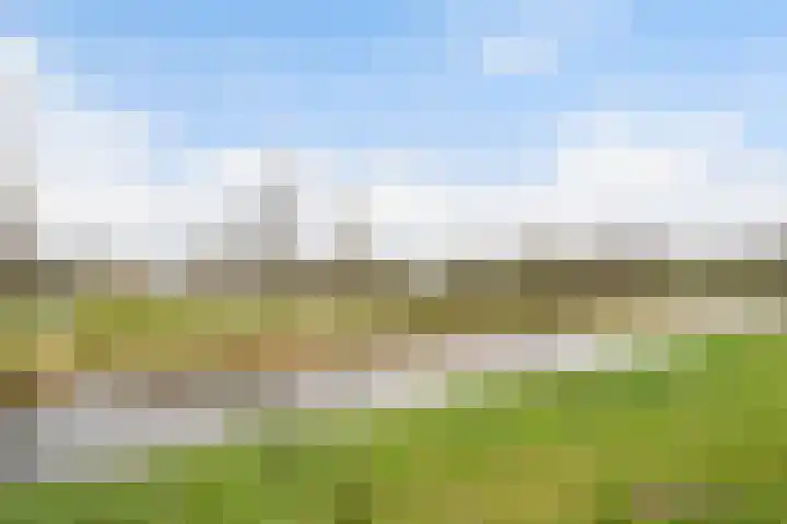 Dommeringdreef 225 Utrecht thumbnail 25