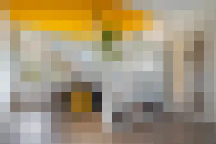 Dommeringdreef 225 Utrecht thumbnail 8
