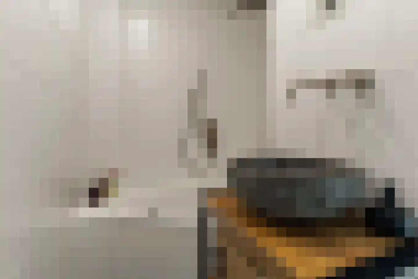 Dommeringdreef 241 Utrecht thumbnail 21