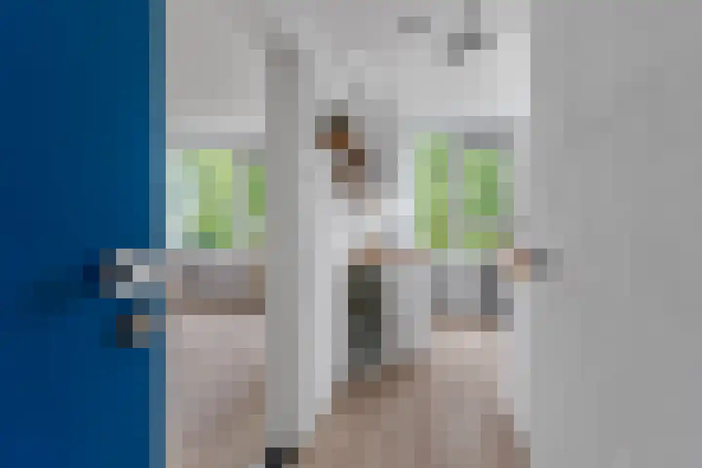 Dommeringdreef 241 Utrecht thumbnail 23