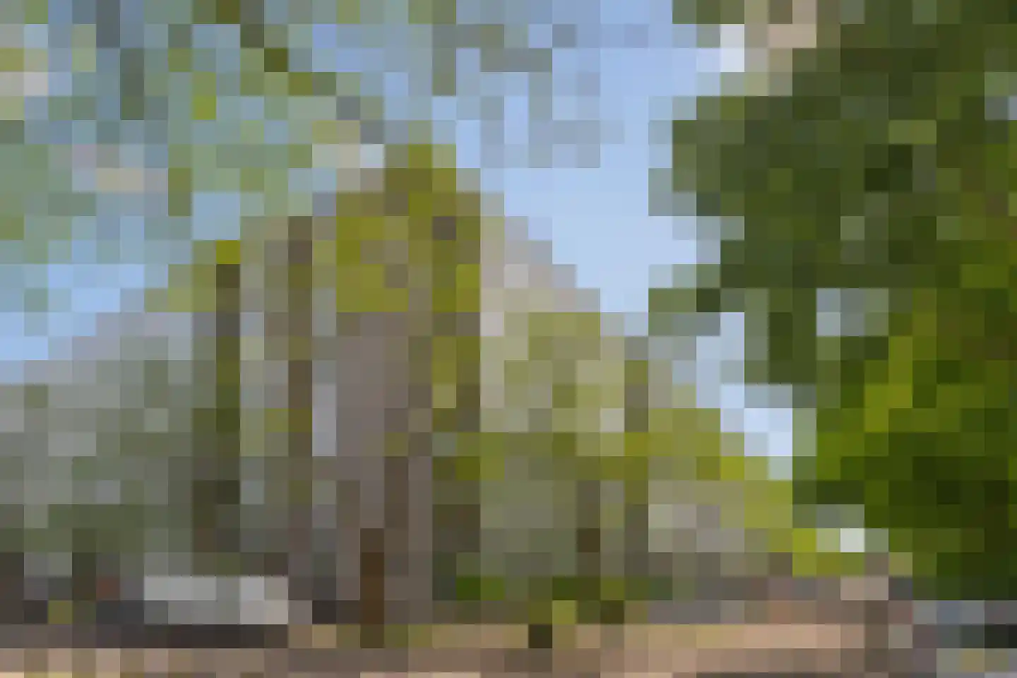 Dommeringdreef 241 Utrecht thumbnail 27