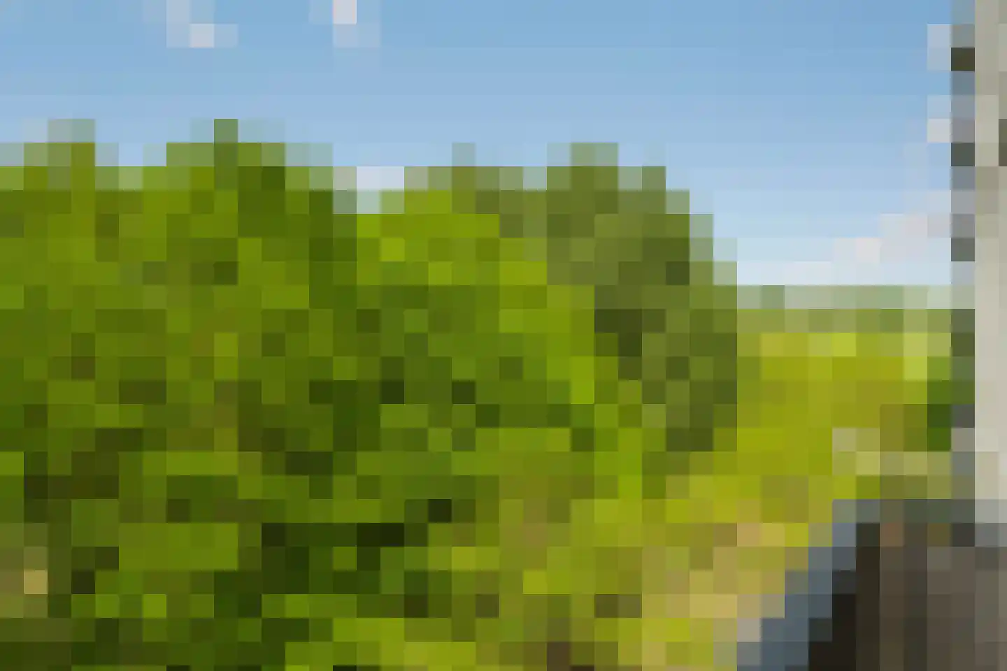 Dommeringdreef 241 Utrecht thumbnail 4