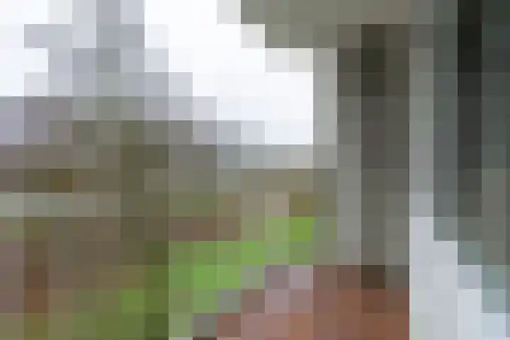Dommeringdreef 283 Utrecht thumbnail 21