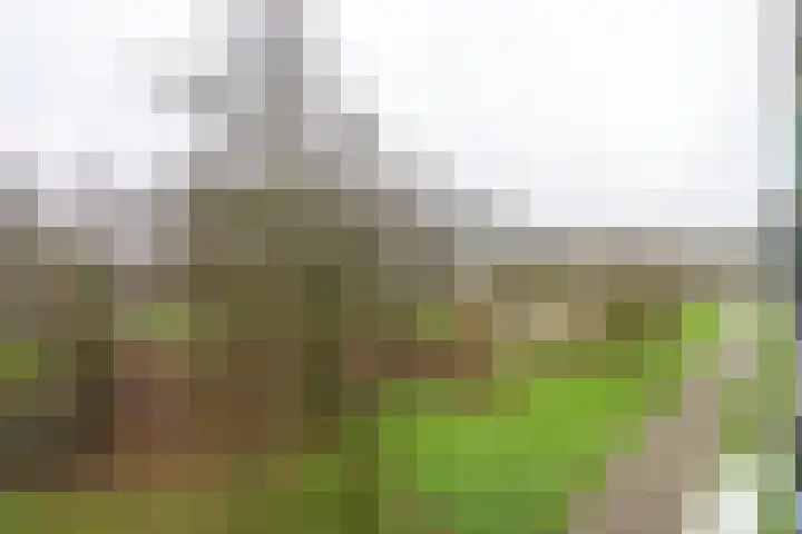 Dommeringdreef 283 Utrecht thumbnail 22