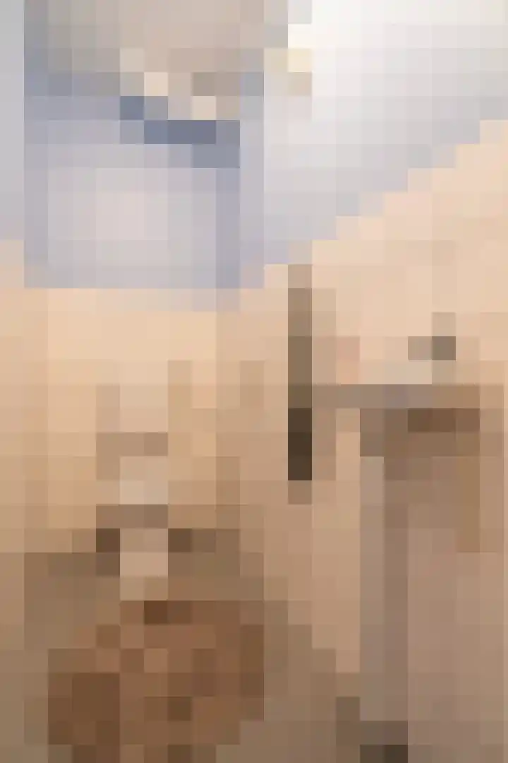 Dommeringdreef 283 Utrecht thumbnail 30