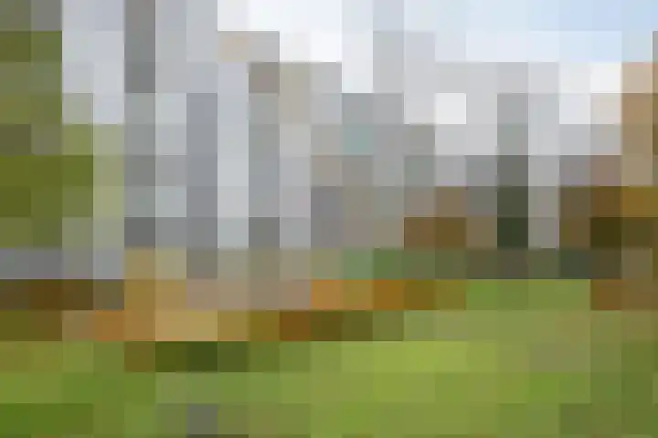 Dommeringdreef 283 Utrecht thumbnail 31