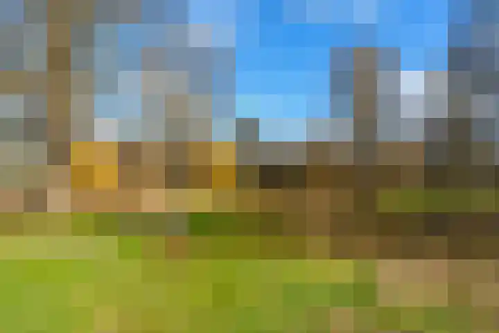 Dommeringdreef 283 Utrecht thumbnail 32