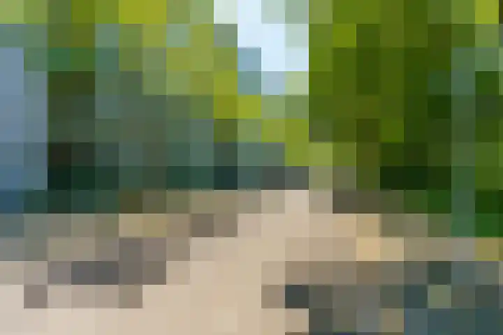 Dommeringdreef 283 Utrecht thumbnail 33