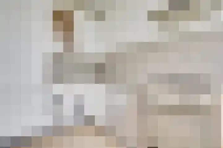 Dommeringdreef 55 Utrecht thumbnail 10