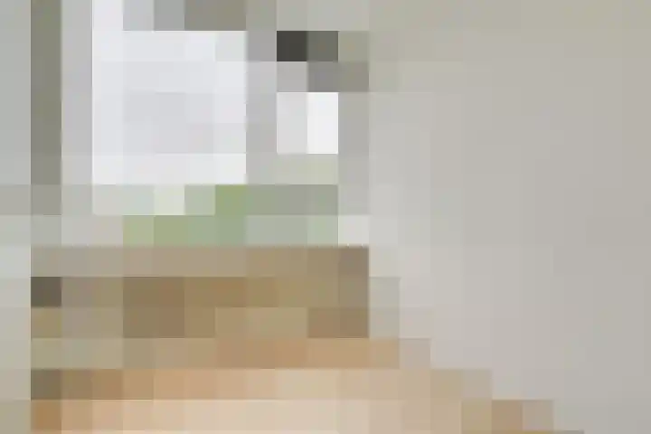 Dommeringdreef 55 Utrecht thumbnail 17