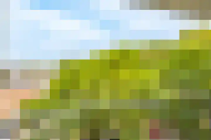 Dommeringdreef 55 Utrecht thumbnail 22