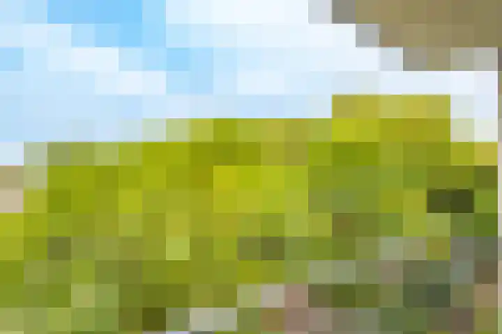 Dommeringdreef 55 Utrecht thumbnail 23