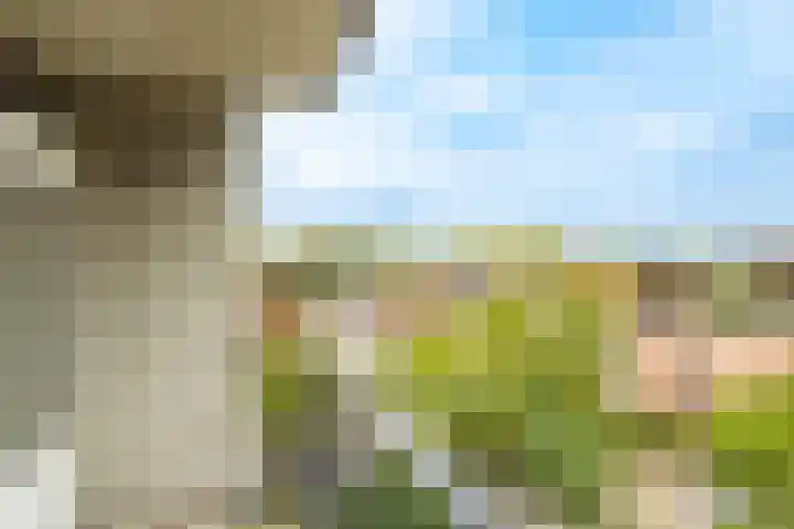Dommeringdreef 55 Utrecht thumbnail 24