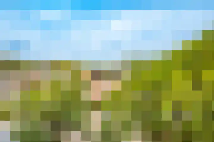 Dommeringdreef 55 Utrecht thumbnail 25