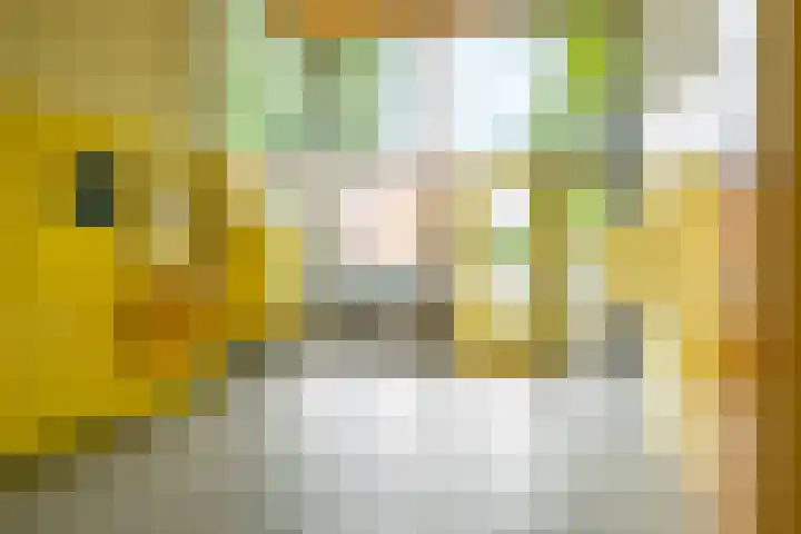 Dommeringdreef 55 Utrecht thumbnail 26