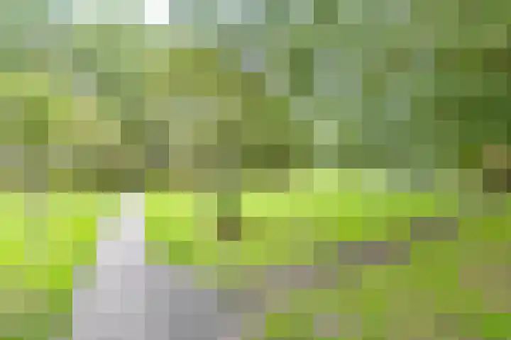 Dommeringdreef 55 Utrecht thumbnail 27