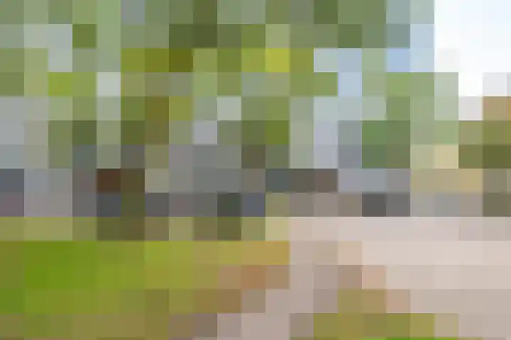 Dommeringdreef 55 Utrecht thumbnail 28