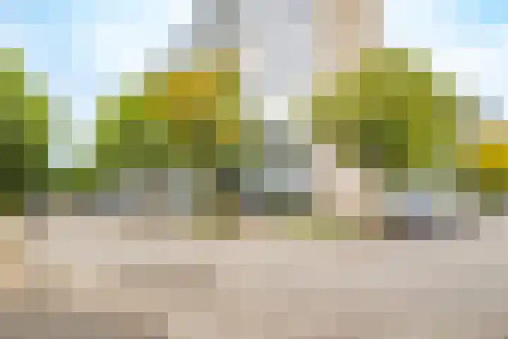 Dommeringdreef 55 Utrecht thumbnail 29