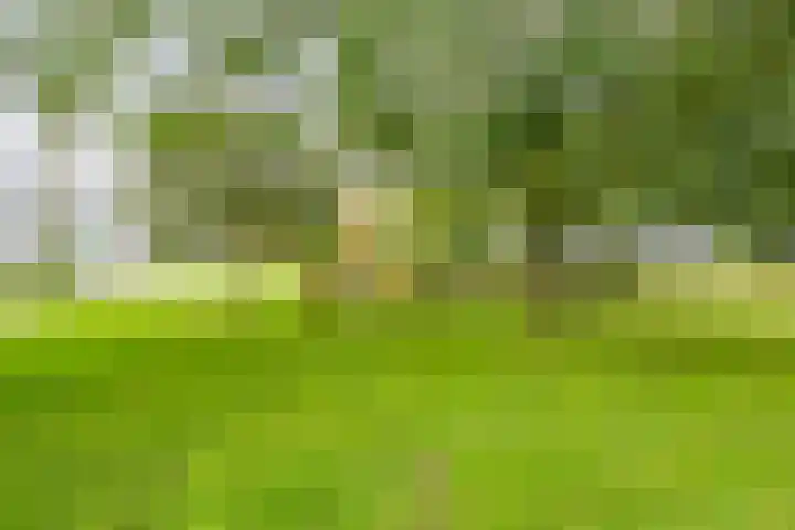 Dommeringdreef 55 Utrecht thumbnail 30