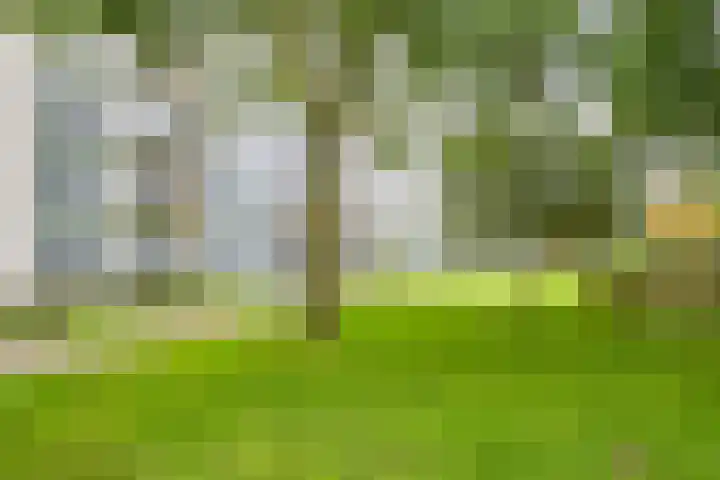 Dommeringdreef 55 Utrecht thumbnail 31