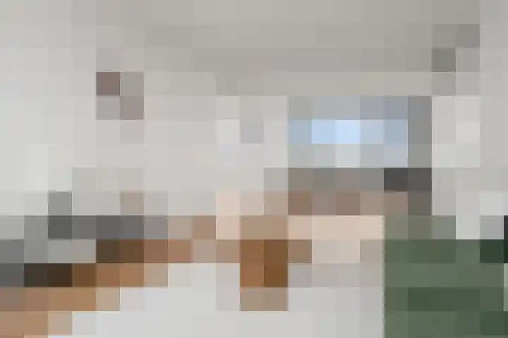 Dommeringdreef 77 Utrecht thumbnail 12