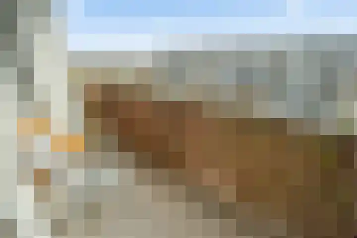 Dommeringdreef 77 Utrecht thumbnail 16
