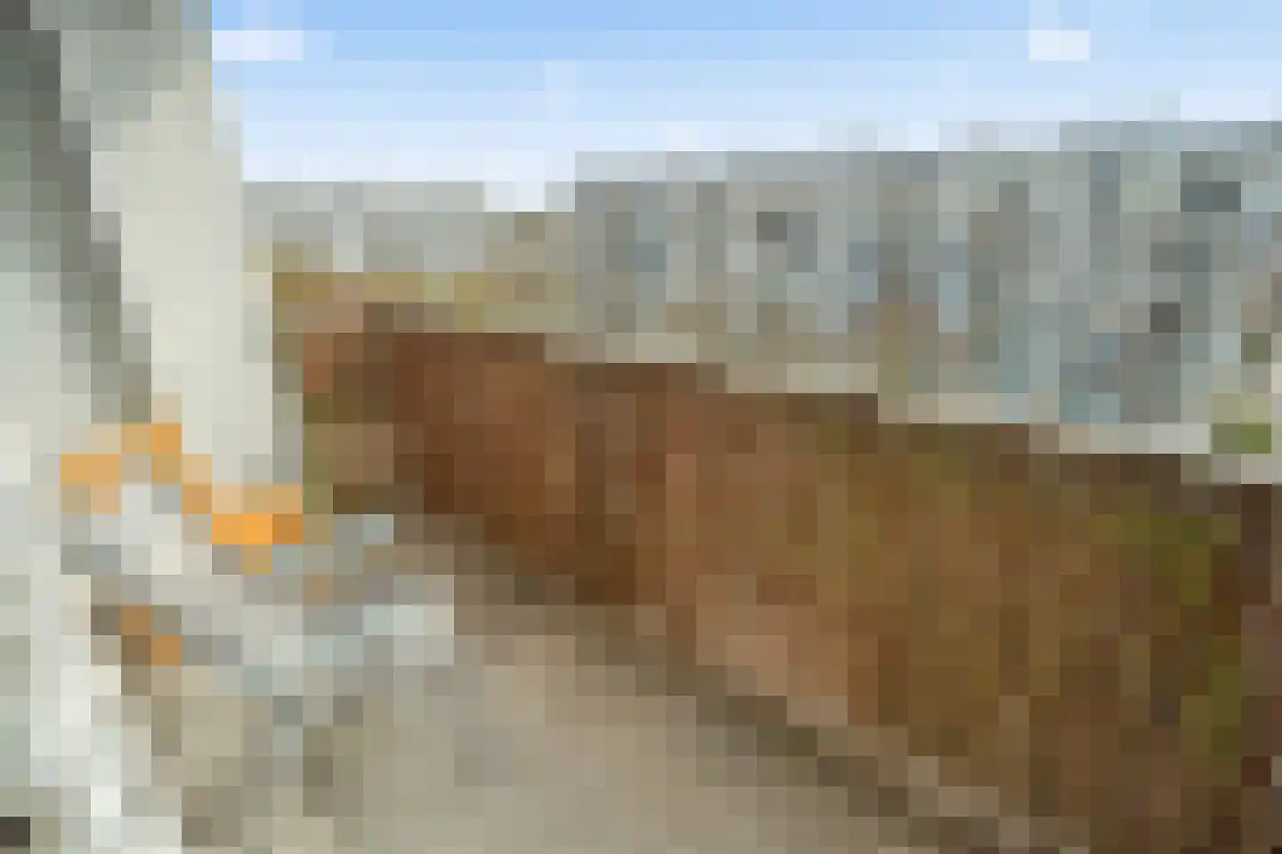 Dommeringdreef 77 Utrecht thumbnail 16