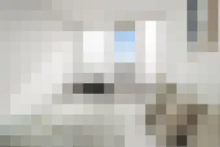 Dommeringdreef 77 Utrecht thumbnail 27