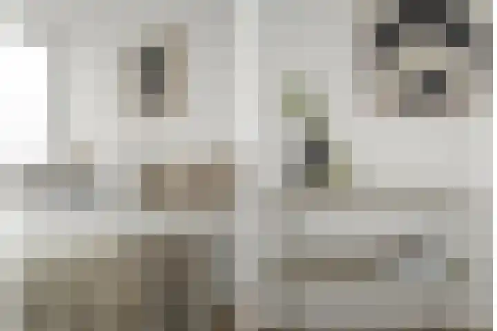 Dommeringdreef 77 Utrecht thumbnail 29