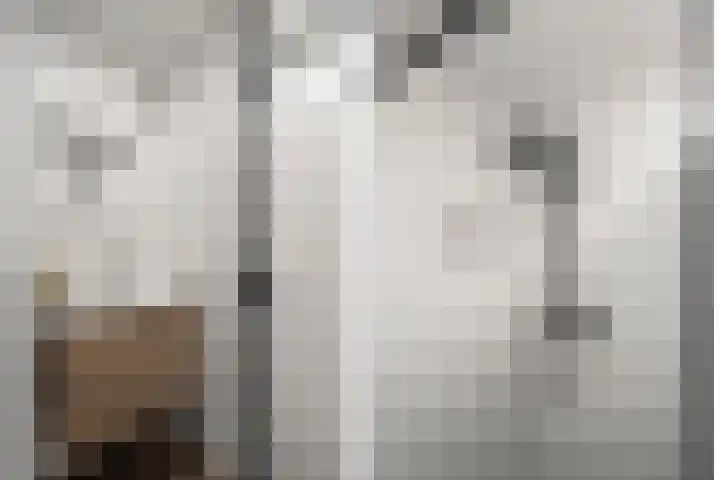 Dommeringdreef 77 Utrecht thumbnail 31