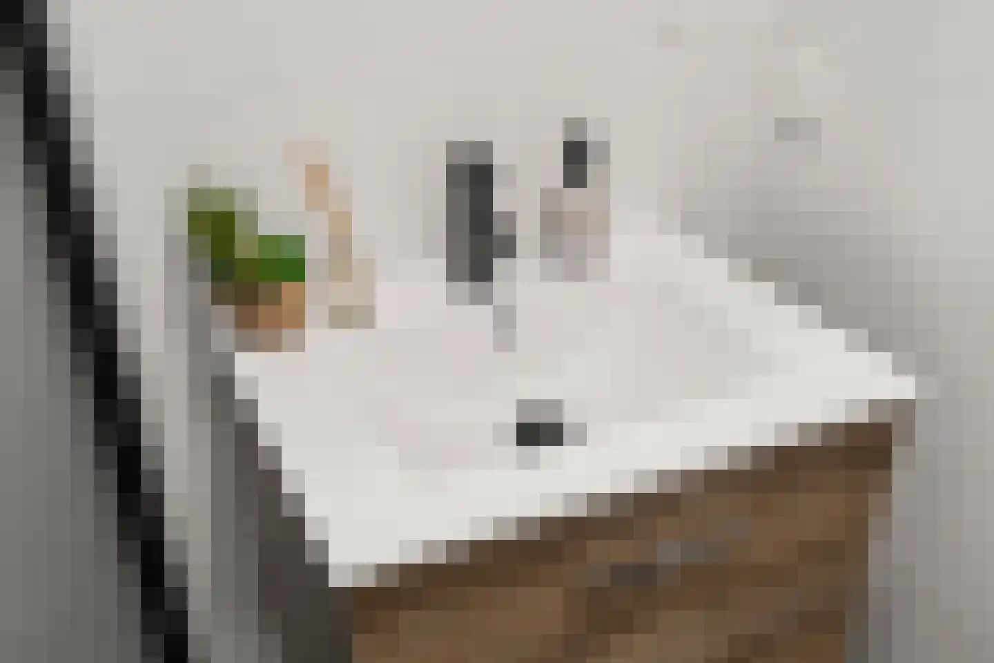 Dommeringdreef 77 Utrecht thumbnail 32