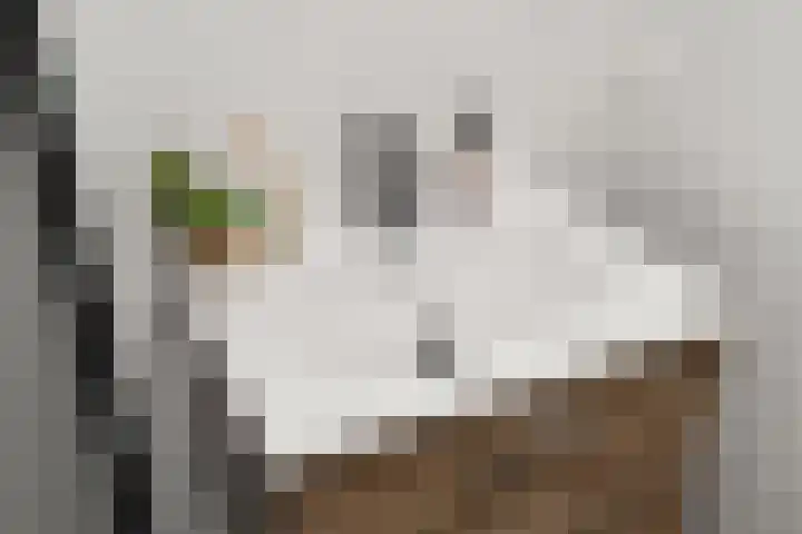 Dommeringdreef 77 Utrecht thumbnail 32