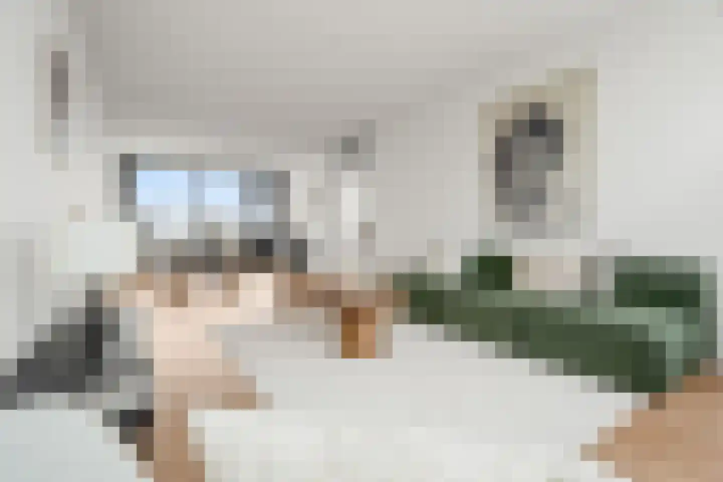 Dommeringdreef 77 Utrecht thumbnail 4