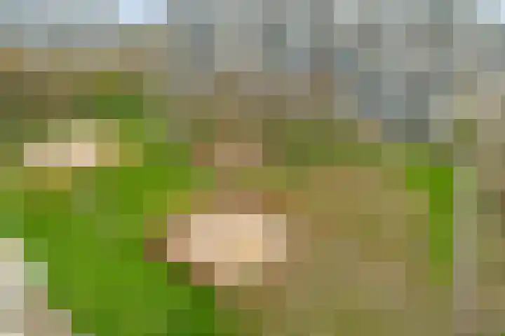 Dommeringdreef 77 Utrecht thumbnail 42