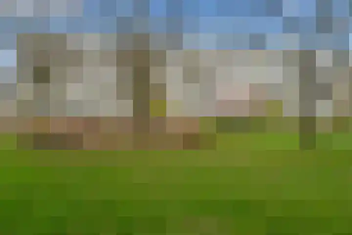 Dommeringdreef 77 Utrecht thumbnail 44