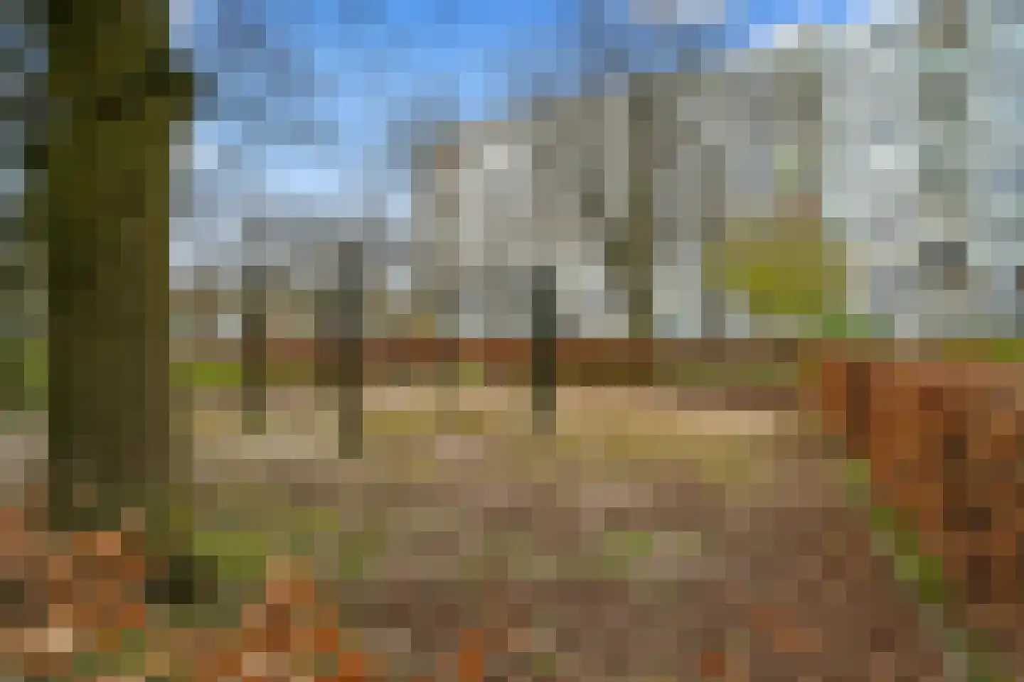 Dommeringdreef 77 Utrecht thumbnail 45