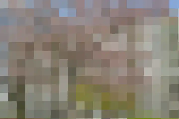 Dommeringdreef 77 Utrecht thumbnail 46