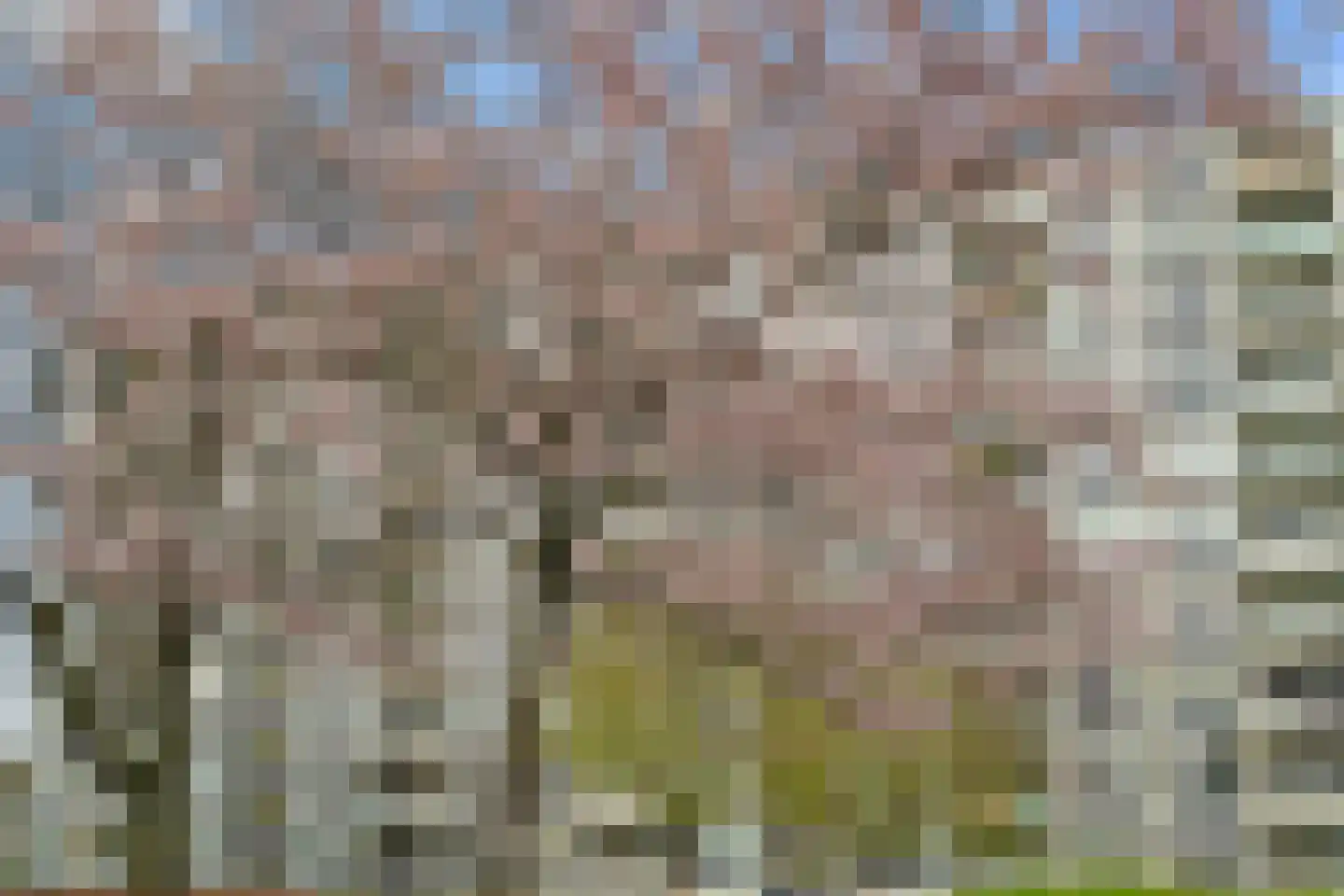 Dommeringdreef 77 Utrecht thumbnail 46