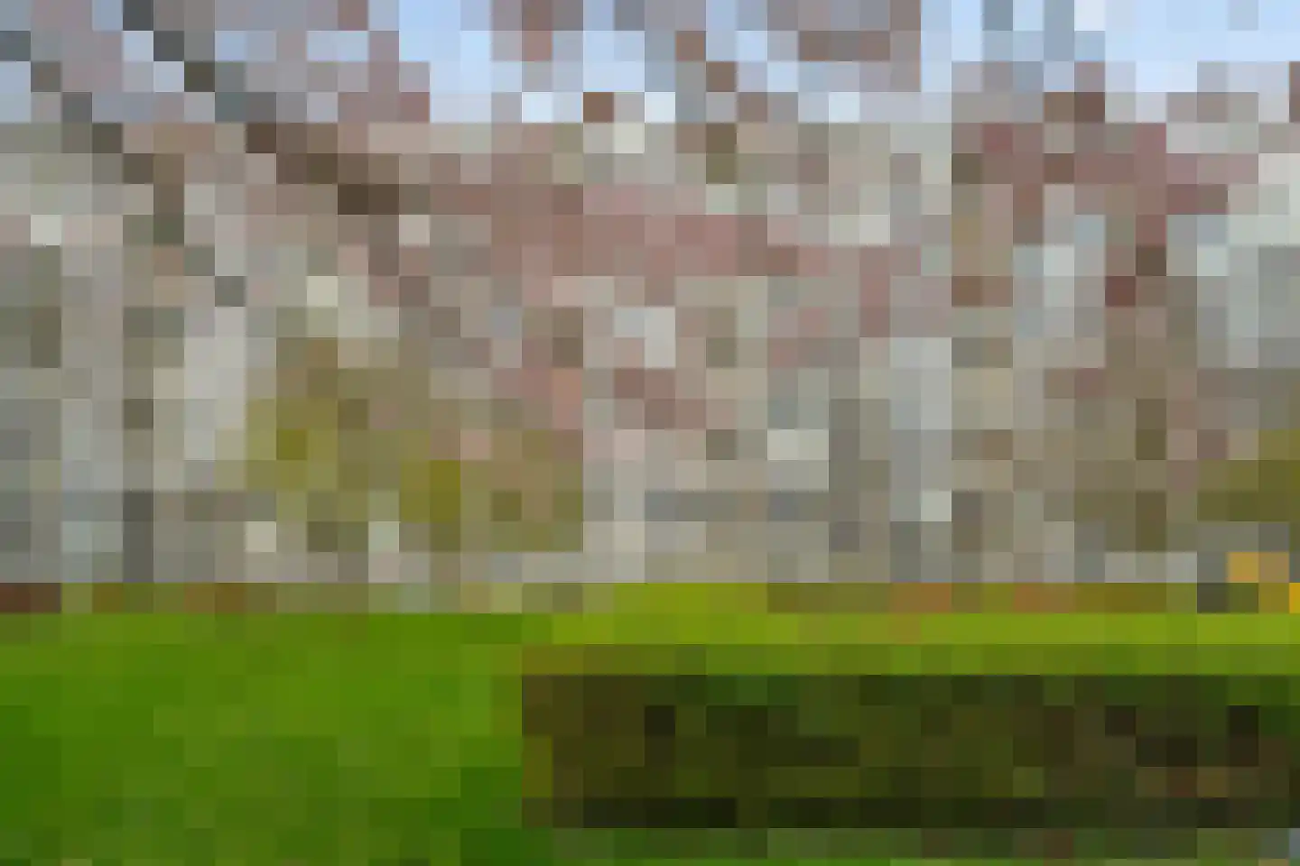 Dommeringdreef 77 Utrecht thumbnail 47