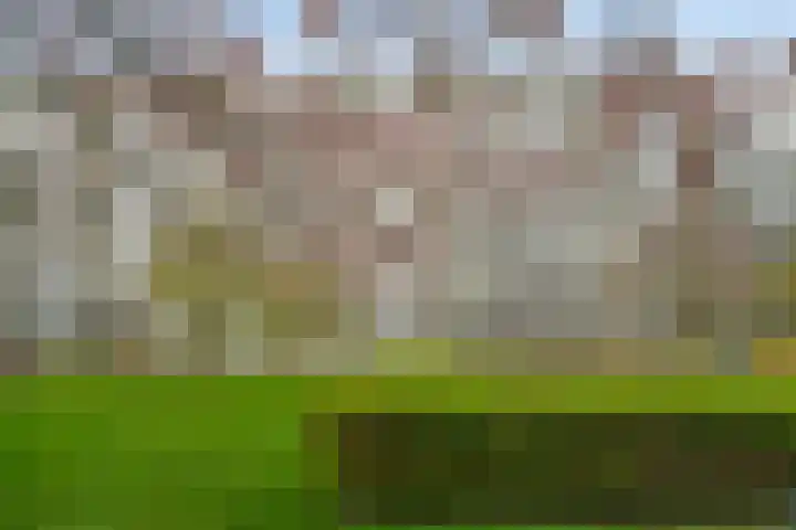 Dommeringdreef 77 Utrecht thumbnail 47