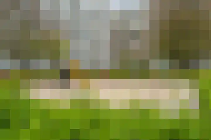 Dommeringdreef 77 Utrecht thumbnail 48