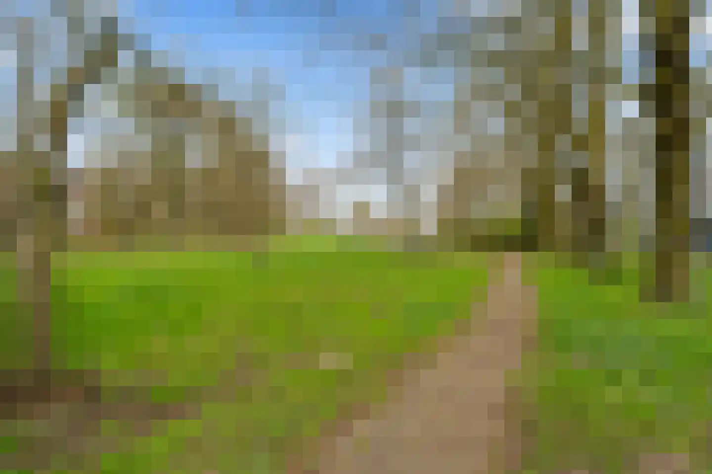 Dommeringdreef 77 Utrecht thumbnail 51