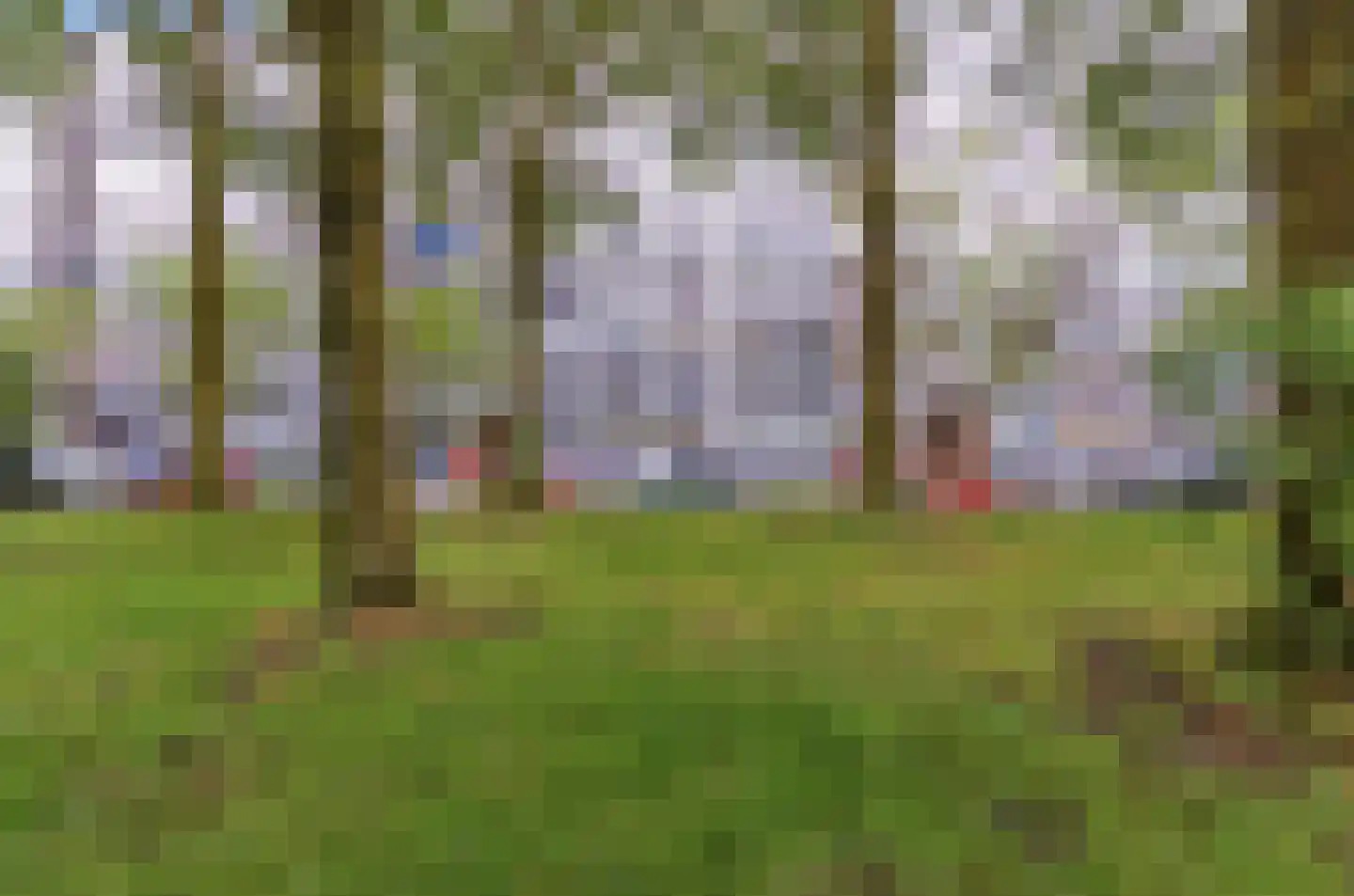 Dommeringdreef 87 Utrecht thumbnail 31