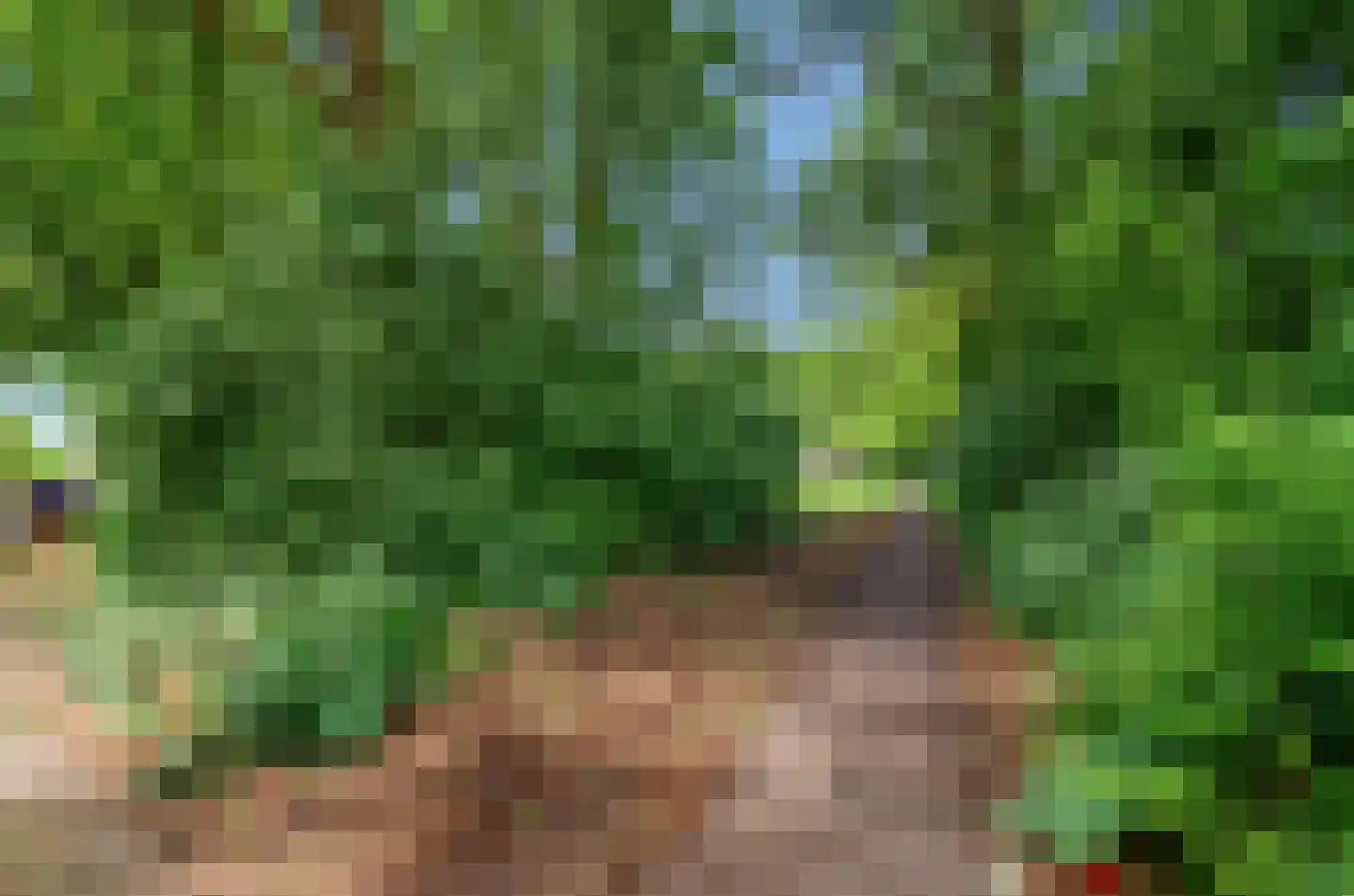 Dommeringdreef 87 Utrecht thumbnail 36