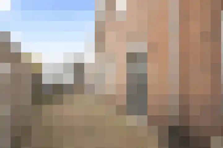 Dommersweg 25 Nieuw-Amsterdam thumbnail 4