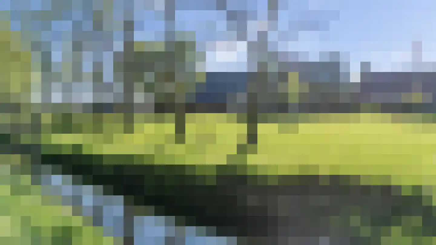 Dommersweg 45 Nieuw-Amsterdam thumbnail 4