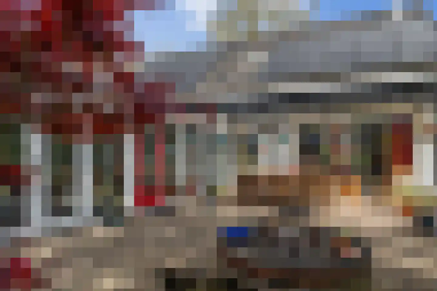 Dommersweg 45 Nieuw-Amsterdam thumbnail 48