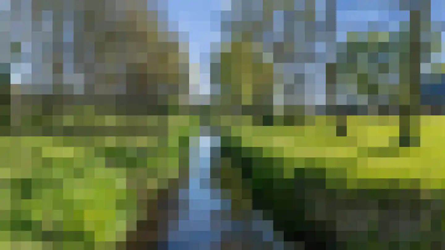 Dommersweg 45 Nieuw-Amsterdam thumbnail 69