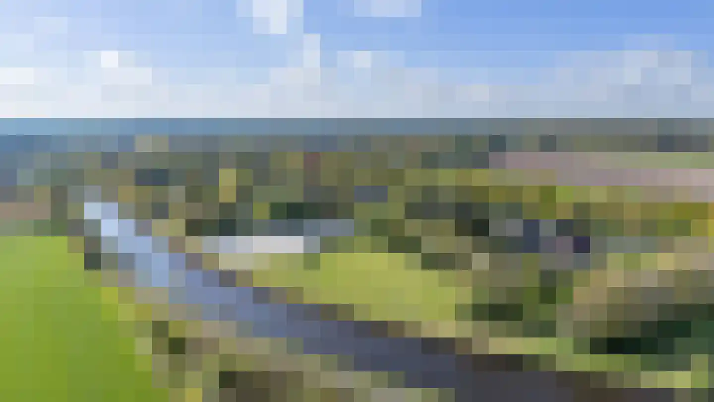 Dommersweg 45 Nieuw-Amsterdam thumbnail 81